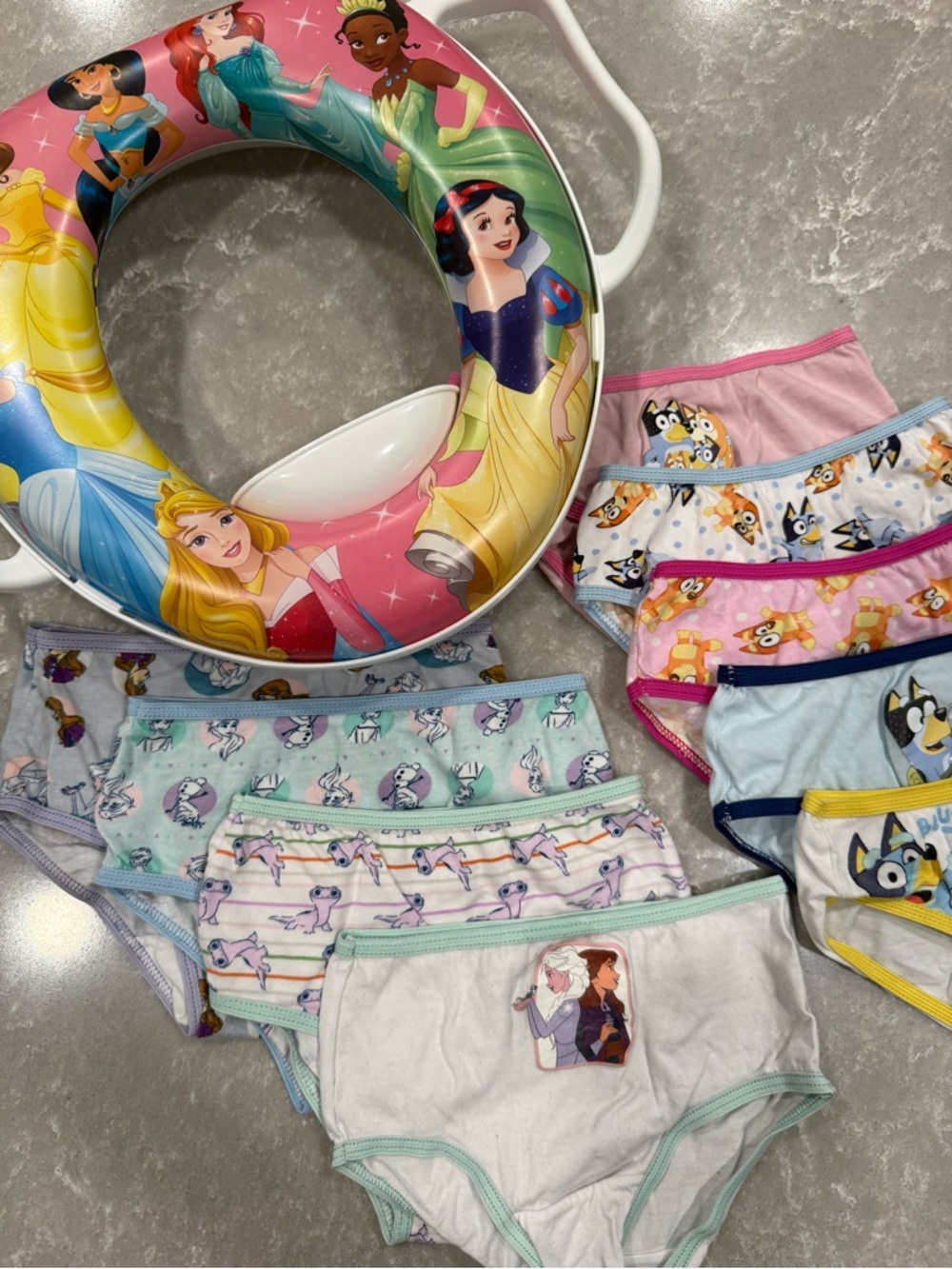 Toddler Potty Training Bundle 4T Disney Princess Seat + 9 Pairs Underwear NWOT